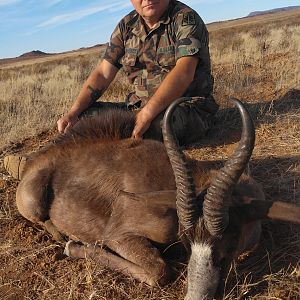 Black Springbok Hunt South Africa