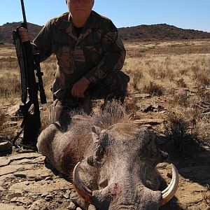 South Africa Hunting Warthog