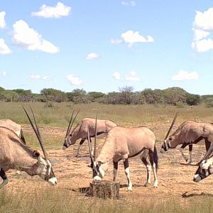 Don’t you just miss Namibia