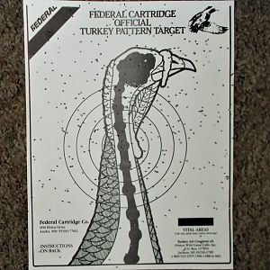 Remington 12ga 3" Mag 870 Rifle Range Shots