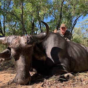 South Africa Hunt Buffalo Cow