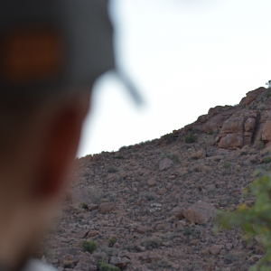 Hunting Hartmann's Mountain Zebra in Namibia