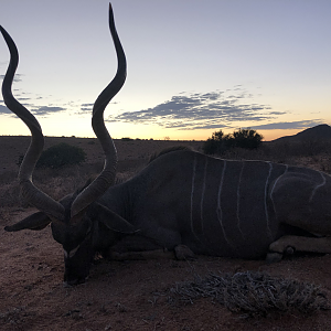 Kudu Hunting Namibia