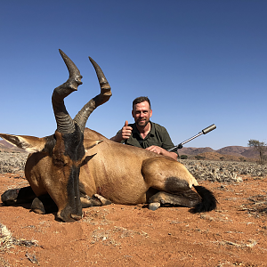 Red Hartebeest Hunt Namibia