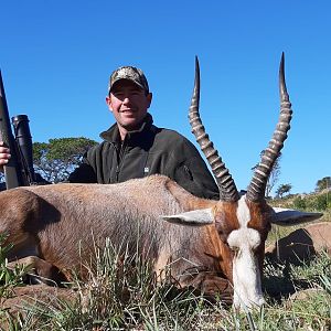 Blesbok Hunt South Africa