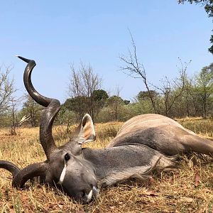 Kudu Hunting Tanzania