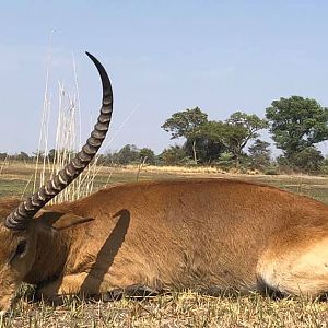 Tanzania Hunt Red Lechwe