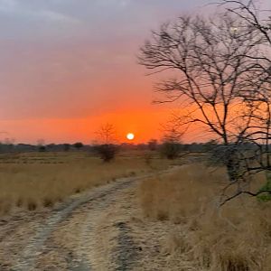 Sunset in Tanzania