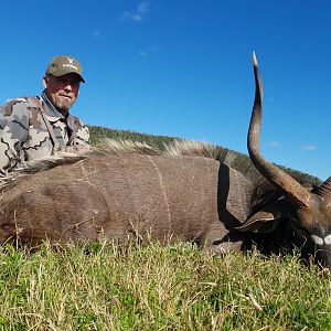 Hunting Nyala in South Africa