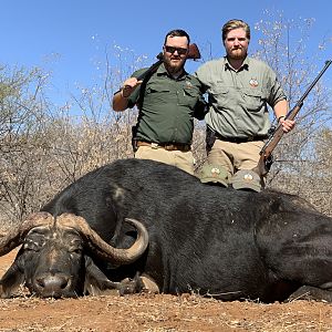 Buffalo Hunting South Africa