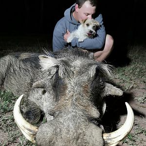 Warthog Hunt South Africa