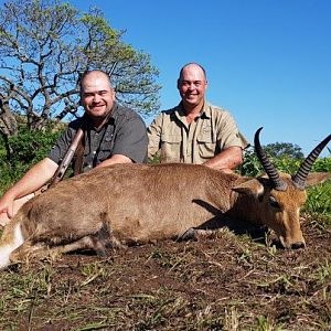 Reedbuck Hunt South Africa