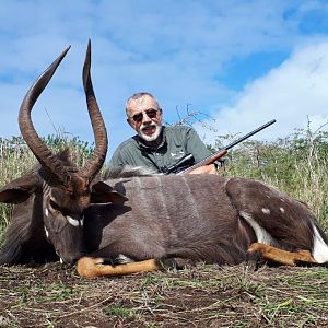 South Africa Hunt Nyala