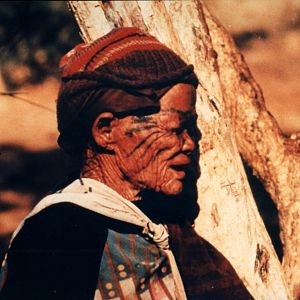 Bushmen Namibia