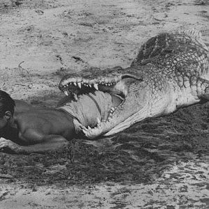 Crocodile Hunting with Peter Beard