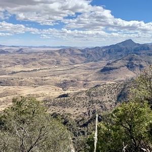 Desert Bighorn Sheep Hunting Argentina