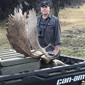 New Zealand Hunt Fallow Deer