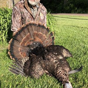 Hunting Turkey in USA