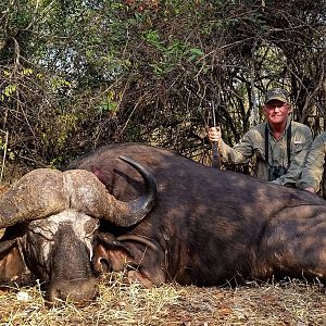 Cape Buffalo Hunt Tanzania