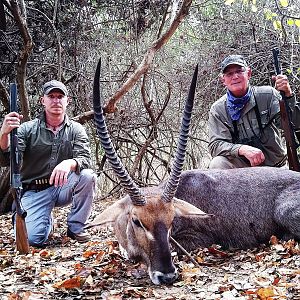 Tanzania Hunting Buffalo