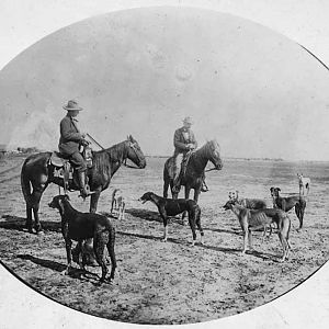 Wolf Hunting Kansas USA