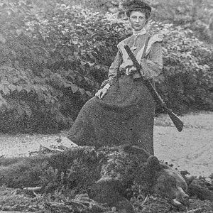 Hunt Bear in Transylvania now Romania 1880s