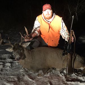 White-tail Deer Hunt Canada