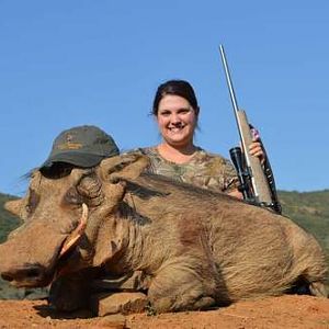 Hunting Warthog in South Africa