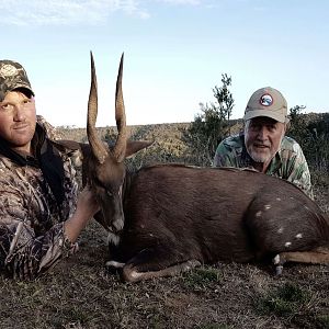 Bushbuck Hunt South Africa