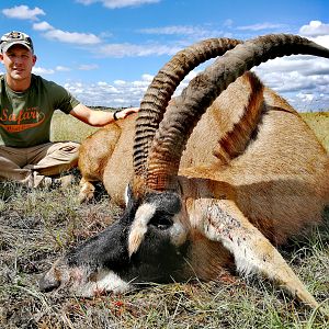 Hunting Roan in South Africa