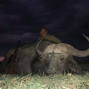 Hunting Buffalo in Tanzania