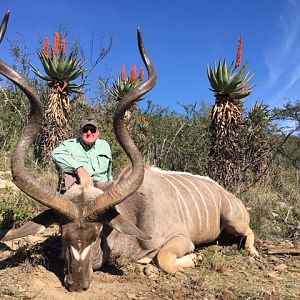 South Africa Hunting Kudu