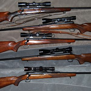 Hunting Rifles