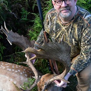 New Zealand Hunt Fallow Deer