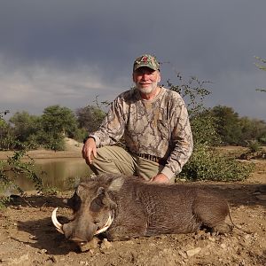 Warthog Hunt Namibia