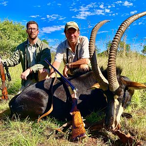 Sable Antelope Hunt South Africa