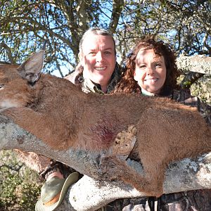 Caracal Hunting South Africa