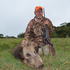 South Africa Hunt Bushpig