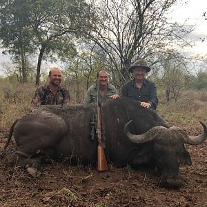 Hunt Cape Buffalo in Zimbabwe