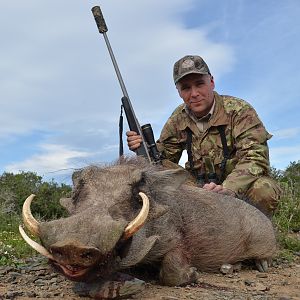 Warthog Hunt South Africa