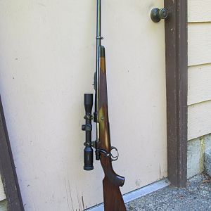 .375 Whitworth Express Rifle