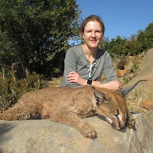 South Africa Hunting Caracal