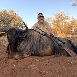 Blue Wildebeest bull