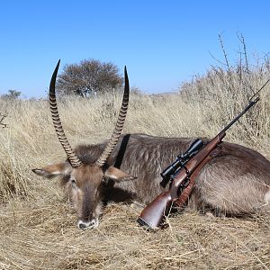 Nothing like a good Waterbuck