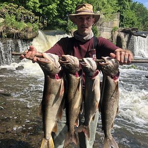 Four Lake Trout - Taken on the Roundout Reservoir in NY.