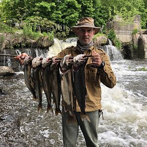 Five Lake Trout & a Brown Trout - Taken on the Roundout Reservoir in NY.