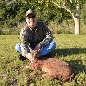 Hunting Caracal in South Africa