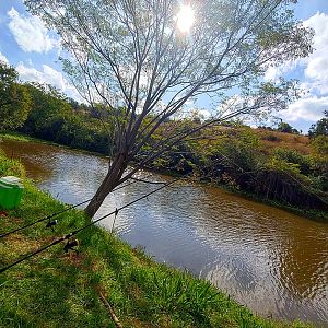 Carp/Yellowfish Fishing in South Africa