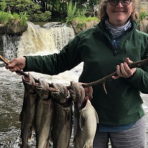 Mrs BeeMaa with todays take from the Rondout Reservoir