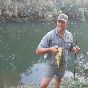 South Africa Fishing Bass